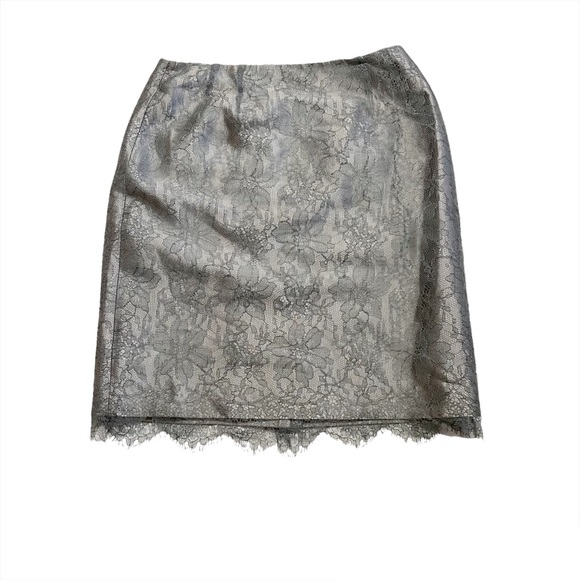 Rickie Freeman for Teri Jon Dresses & Skirts - Rickie Freeman For Teri John Silver Floral Lace Slip-Lined Dressy Formal Skirt